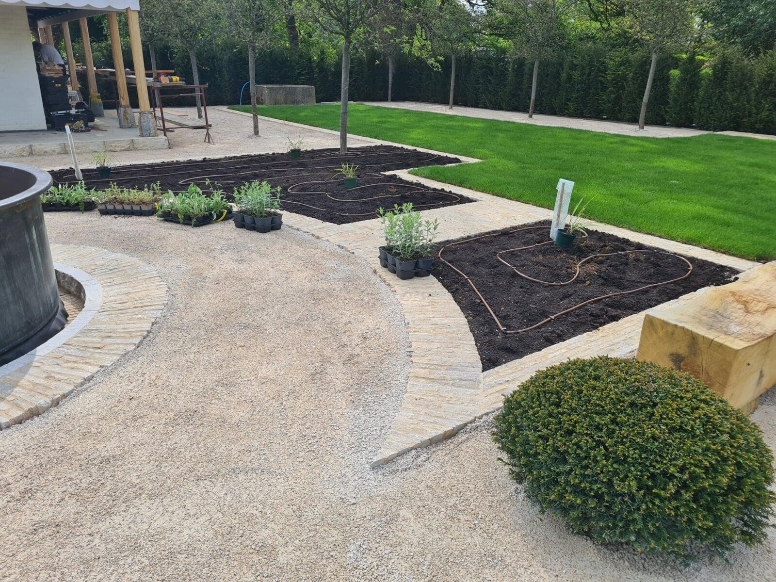 drip irrigation in perennial bed